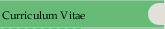 Curriculum Vitae